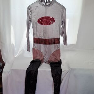 Disney Silver and Red Costume